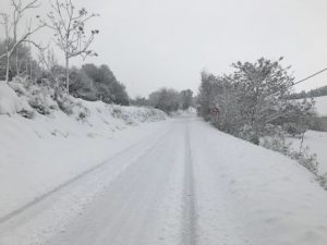 Burian Sirolo Monte Conero