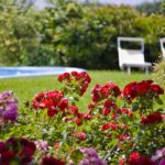 [:it]B&B Sirolo Borgo Rosso[:]