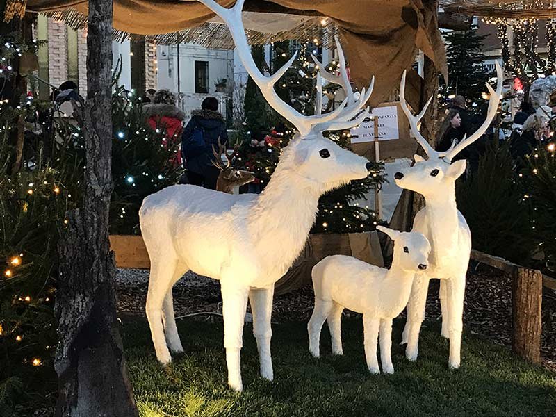 Le renne luminose e l'albero di Natale nella piazza di Numana