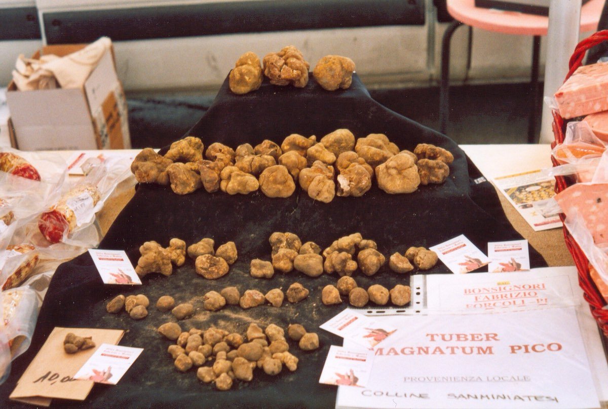 Paniere di tartufo bianco in un mercato del tartufo