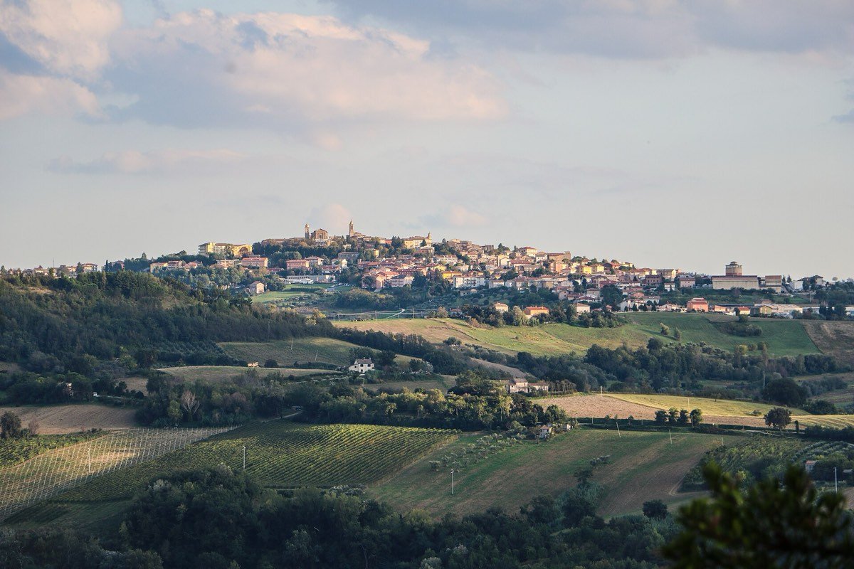 Veduta di Cupramontana sui colli del Verdicchio dei Castelli di Jesi