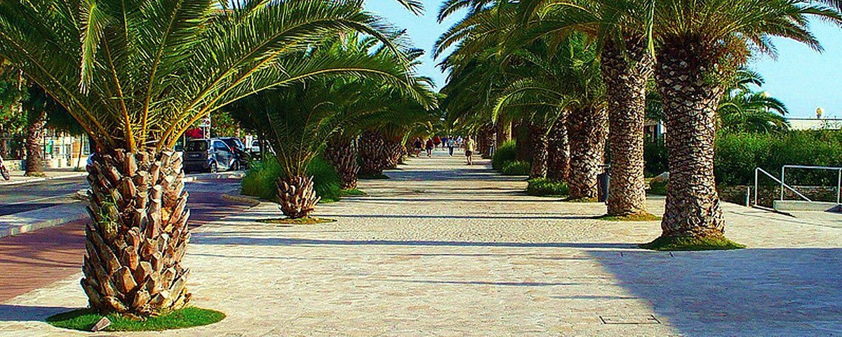 Il lungomare con le palme di San Benedetto del Tronto