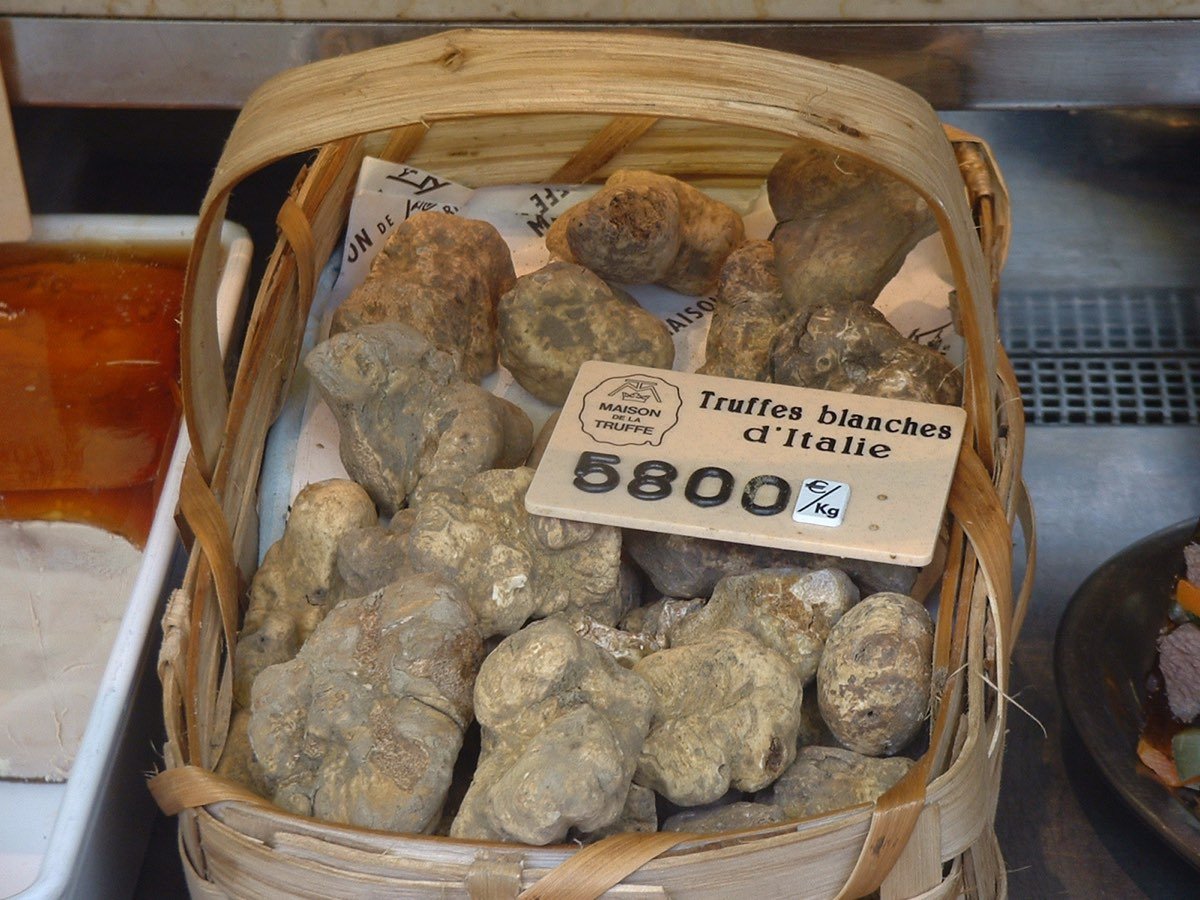 Il cartello di prezzo del tartufo bianco al chilo